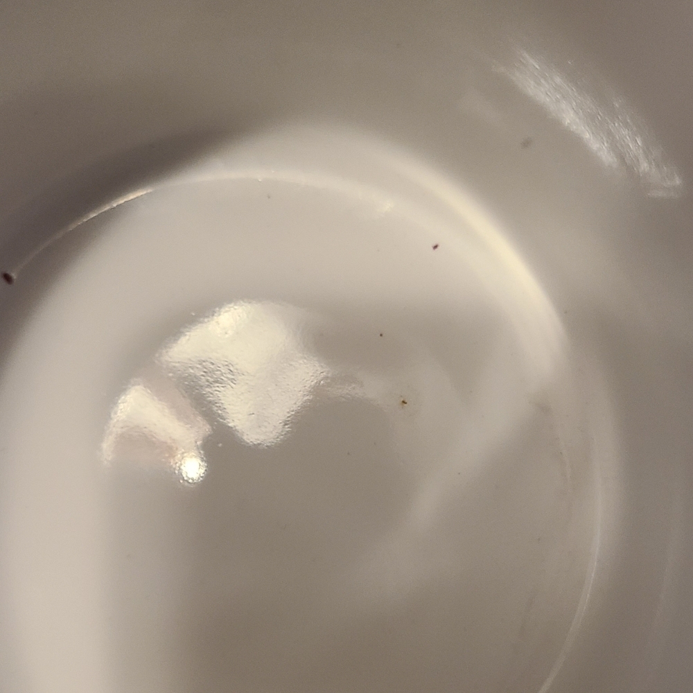Butterfly/Moth Wildflower Mug New Without Tags - Picture 6 of 8